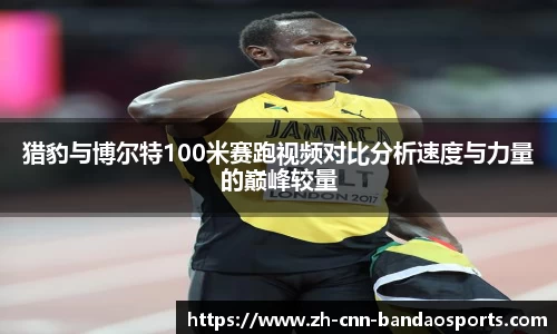猎豹与博尔特100米赛跑视频对比分析速度与力量的巅峰较量
